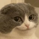 fadooyt
