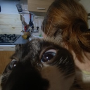 avatar 𝓜𝓲𝓵𝓴𝓪 Σ