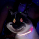 avatar ᴿⱽᴺ𝓜𝓲𝓵𝓴𝓪