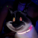 avatar 𝓜𝓲𝓵𝓴𝓪