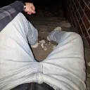 darti47