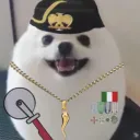 you_found_dom