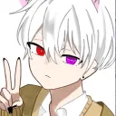 lumi6363