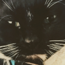 avatar Barron the Rapscallion