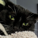 avatar Barron the Rapscallion