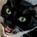 avatar Barron the Rapscallion