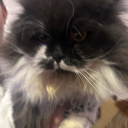 avatar juuuuuuuuuuuuu