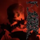 ttdiggitall avatar