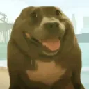 nkv9