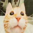 zbve