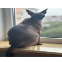 Аватар aprilla2020