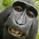 ttd_gusiadrian.1 avatar