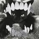 vampiraxlz