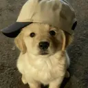 coappsncnsl