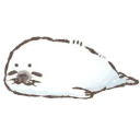 sleepy_johnny0_0#8326's avatar