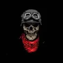 darkgangfi7593
