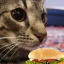 the_tora