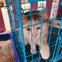 avatar 『 C++ 』Fahriメ