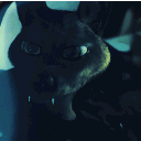 rubxyr