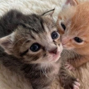 avatar ♡𝐒𝐳𝐨𝐧𝐣𝐚♡