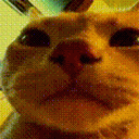 imkwx