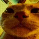 imkwx