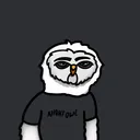 thenightowl7484