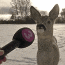 avatar ˚₊‧꒰ა 𝓖𝓮𝓷𝓮𝓿𝓲𝓮𝓿𝓮 ໒꒱ ‧₊˚