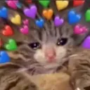 infamouswillow avatar