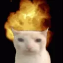 w0nder