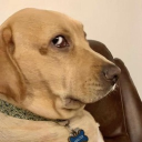 ice_es member profile picture