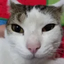 missxibalba