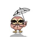 creativeowl1693neo