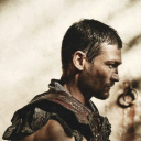 avatar Alexandr Hoffmann