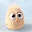 porridge