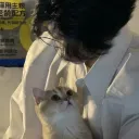 zh_awnn