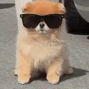 boss_ash
