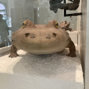 avatar ♡•☆𝐑ėꪦꪦ𝖎ė♡•☆