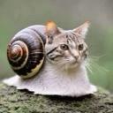 x_wok's profile picture