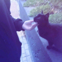 avatar !   𝟣𝘹𝘡𝘺𝘯