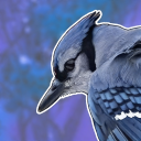 avatar 『 N3ZYU !!! 』