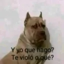 chimo142 avatar