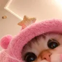 _stefanii.