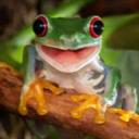 frogsforlife.