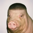 ffffelon