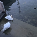 avatar Dr. med. Carmen Cramer