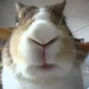 Аватар shadow_7908