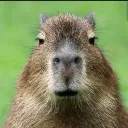 sellmeflasks3646 avatar