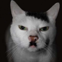 avatar 𝕬𝖓𝖉𝖞卍