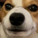 mralexdanger